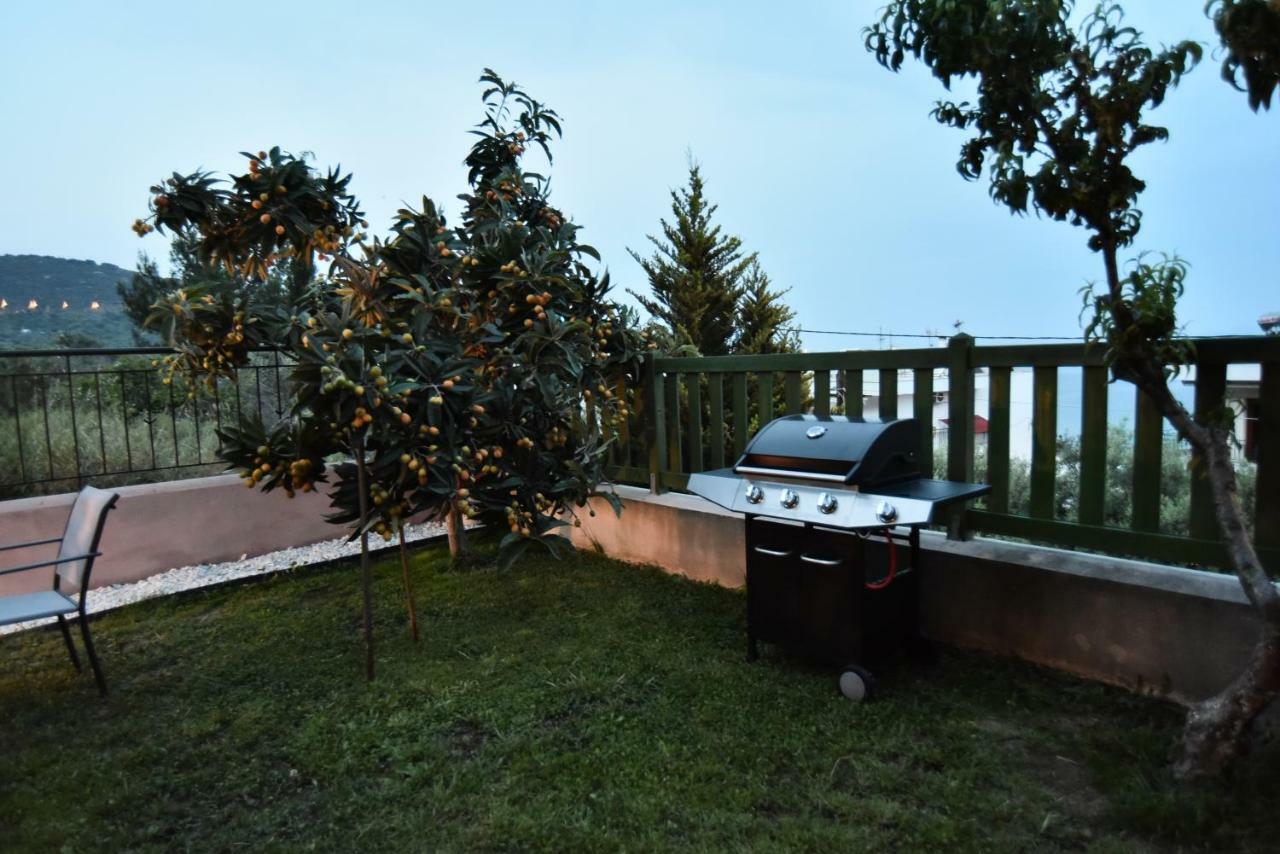 Searockhouse Villa Palaiontsiflikion Bagian luar foto